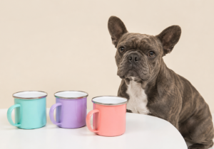 Taza Esmaltado Glossy Personalizada