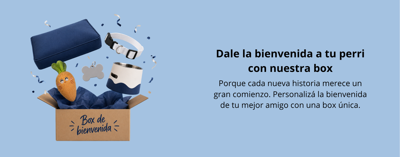 Carrusel Imagen 2