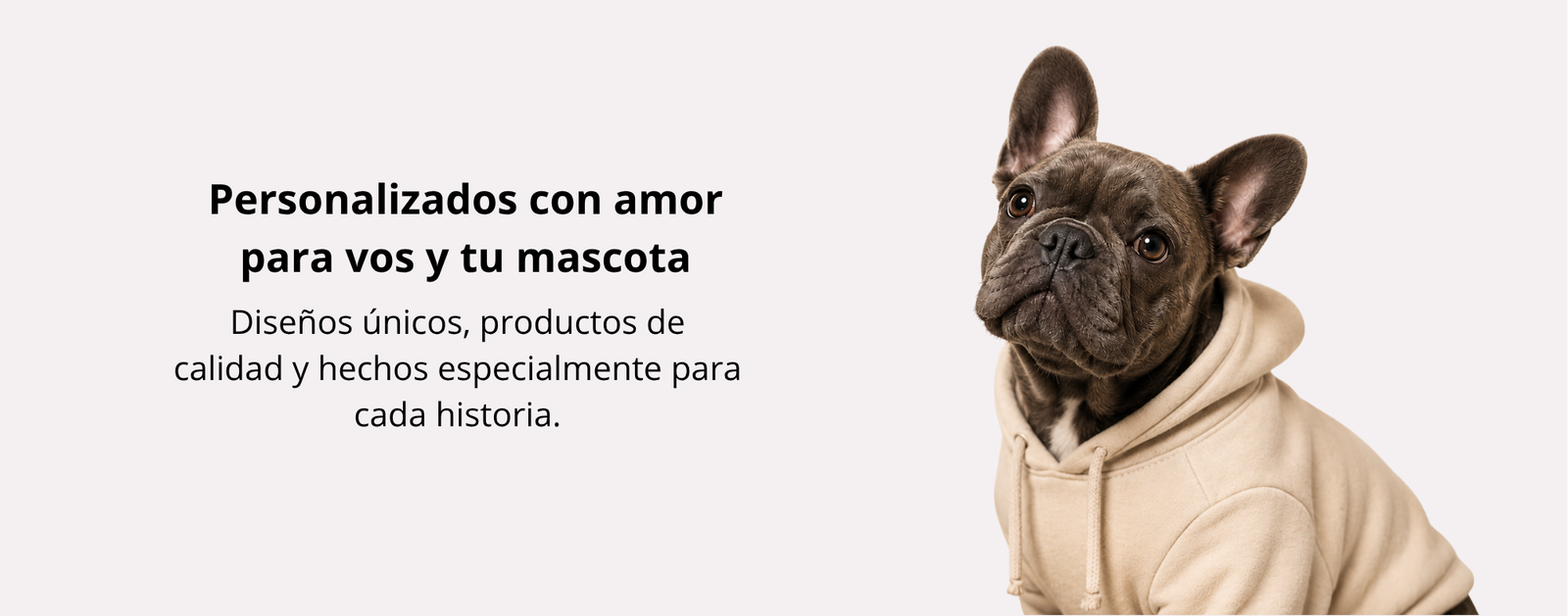 Carrusel Imagen 1